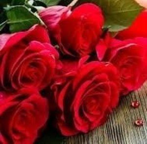 Meet your Posher, Paola